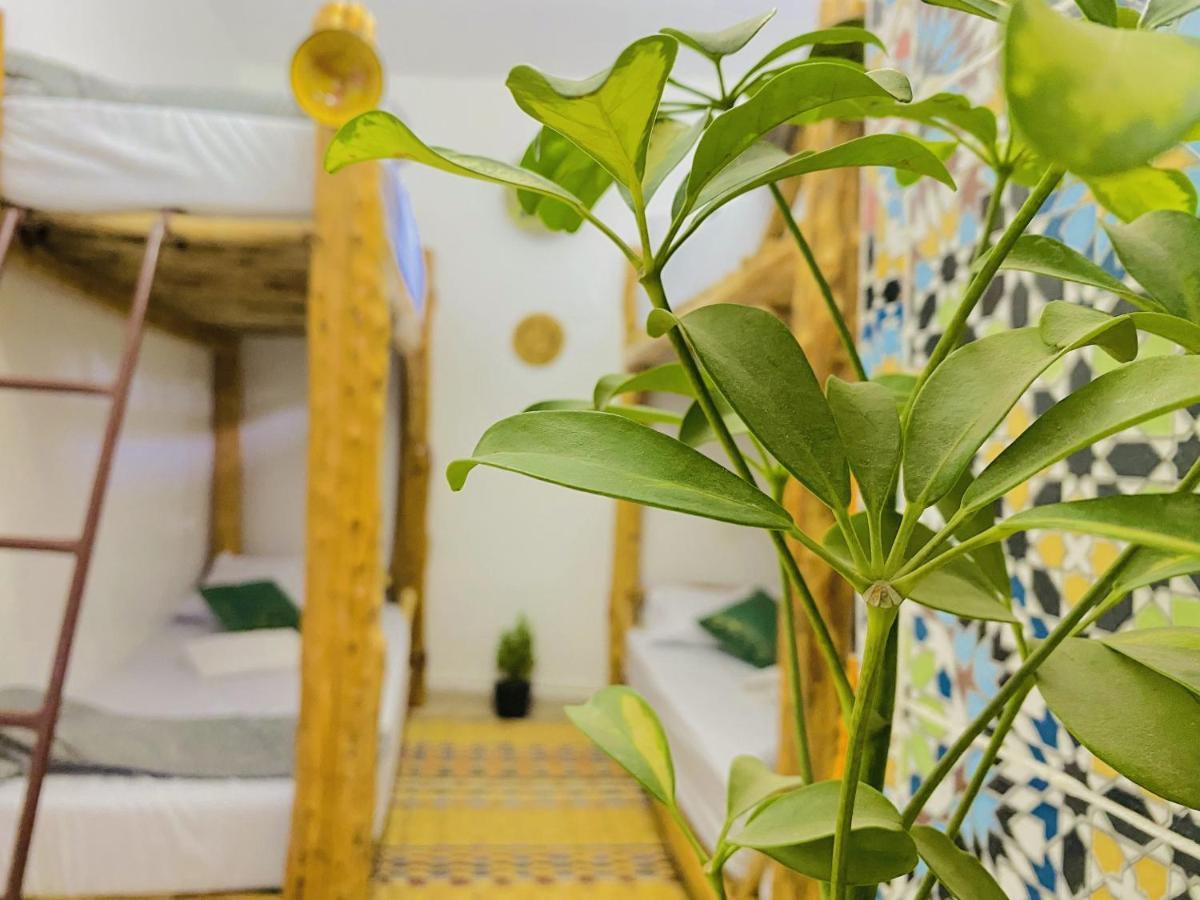 Tizaou Guest House Taghazout Eksteriør bilde